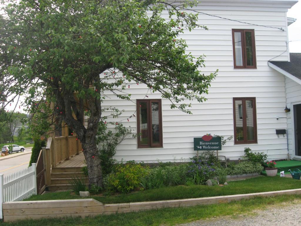 Gite Au Vieux Pommier Tadoussac Exteriör bild