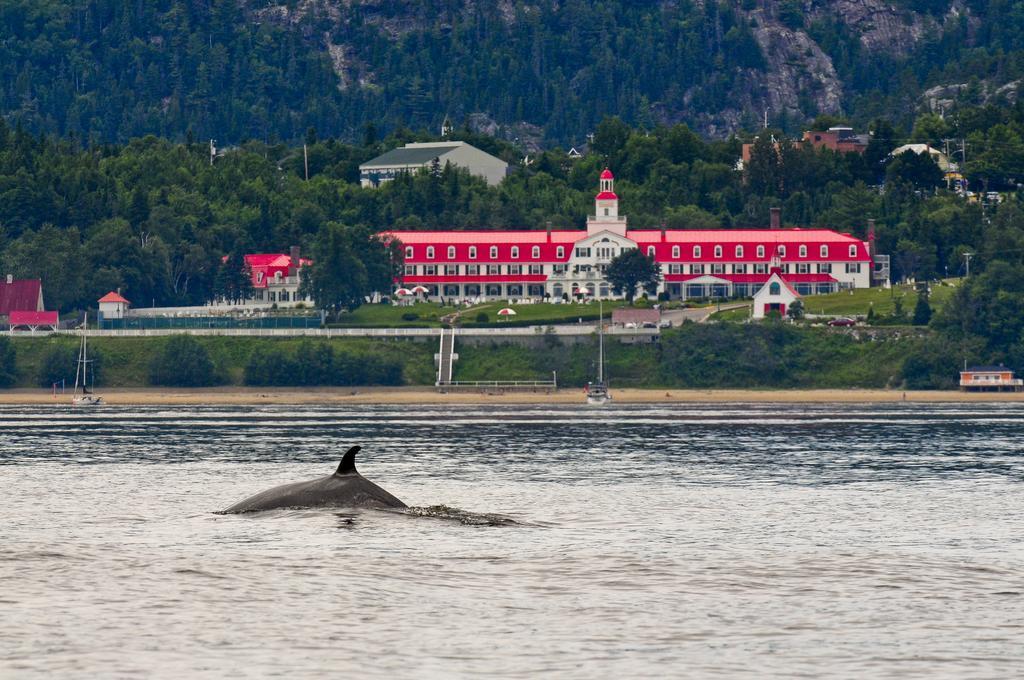 Gite Au Vieux Pommier Tadoussac Exteriör bild