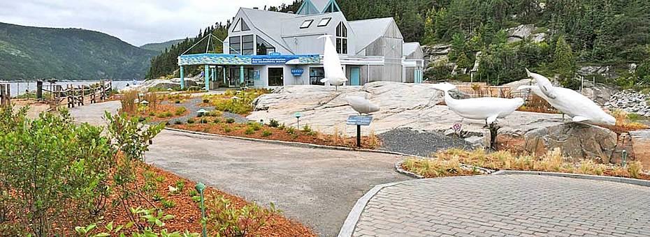 Gite Au Vieux Pommier Tadoussac Exteriör bild