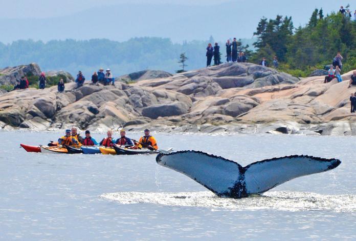 Gite Au Vieux Pommier Tadoussac Exteriör bild